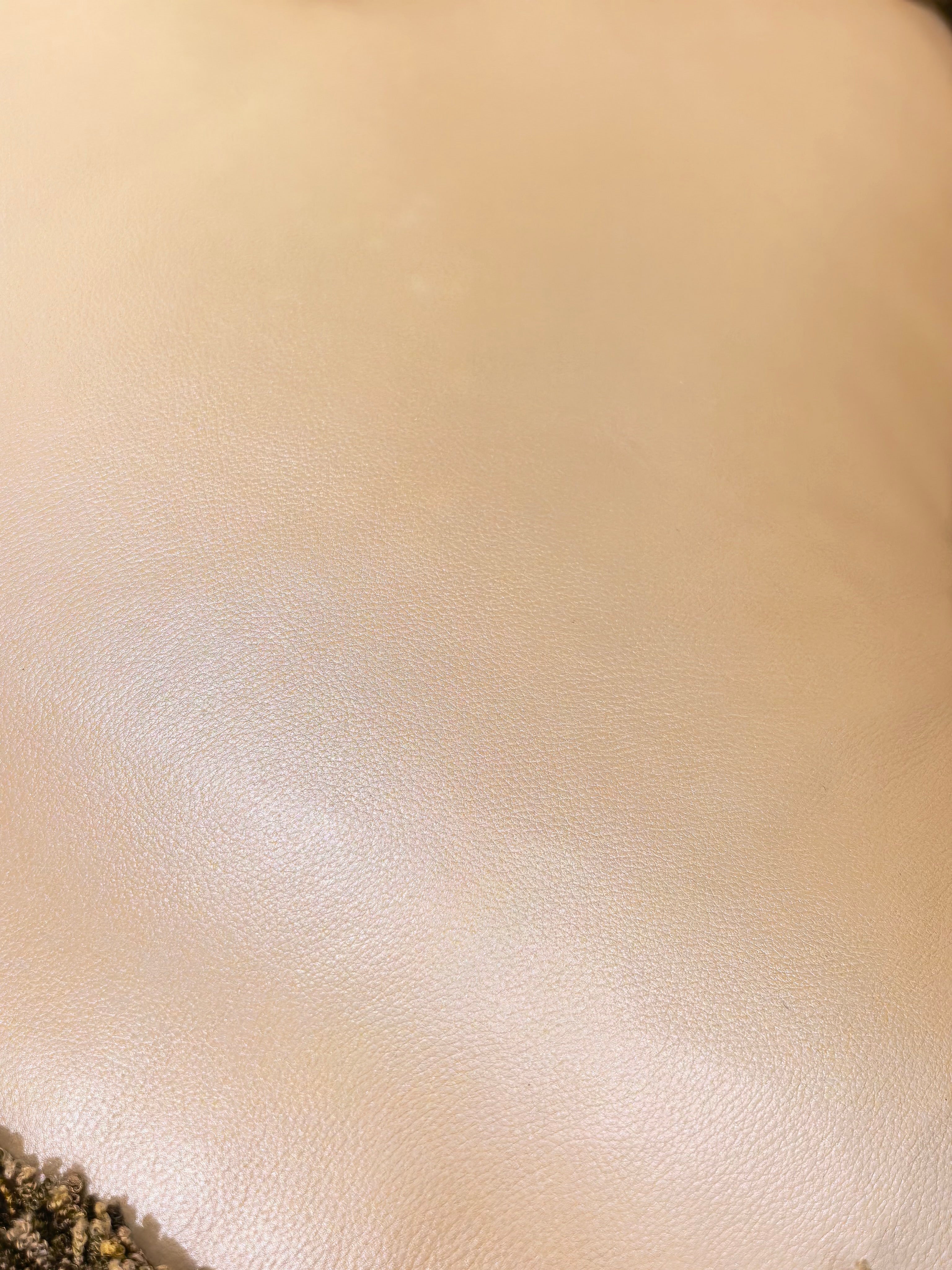 Camille French Imperial sofa carving close-up - GrandLiving Luxe